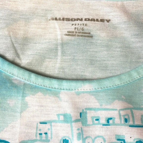 Allison Daley Women’s Shirt, Size: L, Petite, Color’s: different blues, pinks - Picture 7 of 12
